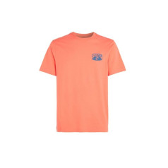 O'Neill Beach Graphic T-krekls M 92800613976 / S