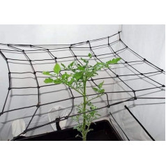 Tech-Garden Черная Орхидея 90 x 90 см Гидропоника Growroom Scrog Net Палатка Растение Поддержка Сеть Эластичный Крюк Шпалера Малый