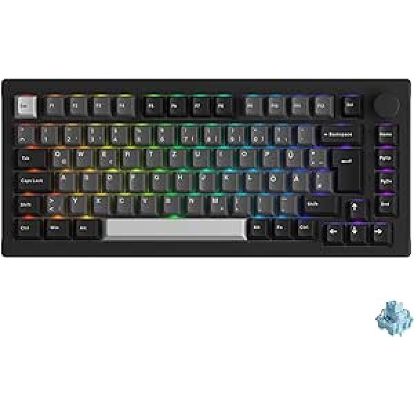 Akko Gasket mehāniskās tastatūras 3 režīms, ISO DE/UK/Nordic Layout, 75% RGB spēļu tastatūra ar taustes slēdzi ar karstuma maiņu, Cherry PBT taustiņu vāciņš, programmējams ar grozāmo pogu (5075B Plus, melns sudrabs)