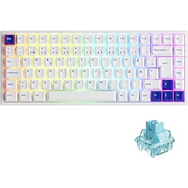 Akko 3084B Plus RGB Mechanical Gaming Keyboard, ISO DE/Nordic Layout, 85% Wireless Computer Keyboard with PBT Keycaps, 100% Anti-Ghosting, Programmable, for Window/Laptop (Jelly Blue)