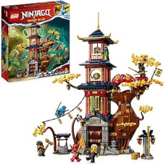 LEGO Ninjago Temple of Dragon Power 71795