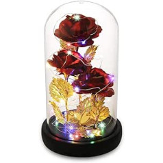 Sapnis par ziediem Skaistule un zvērs Roze, Mūžīgi glabājas stikla kupolā, Mūžīgā roze, Unikāla dāvana sievietēm, Ziemassvētki, Valentīna diena, Mātes diena, jubileja (sarkana)