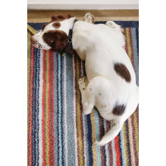 Paklājs Hug Rug Stripe 32 Dizaina paklājs pret putekļiem, 65 x 85 cm