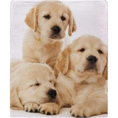 YISUMEI Sega 150 x 200 cm Mīļas segas Soft Flannel Soft Fleece Blanket Bed Throw Golden Retriever Puppies