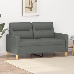 Barash 2 vietų sofa tamsiai pilka 120 cm audinio maža sofa, modernaus amžiaus vidurio sofa, 2 vietų sofa lounge sofa