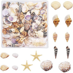 Julie Wang 1 kaste ar 200 gabaliem gliemežvāku zvaigznēm dabiskās sīkas okeāna gliemežvāki DIY Miniature Beach Critter Decor Arts Crafts Projekti Akvārija vāzes pildītājs, gliemežvāks