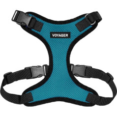 Best Pet Supplies Voyager Step-In Lock Pet Harness, All Weather Mesh Adjustable Step-in Harness for Cats and Dogs - Turquoise/Black Trim, XS