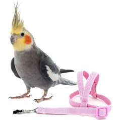 Hearthrousy putnu vads putnu siksna Cockatiel putnu siksna Budgie putnu siksna Aviator Pet putnu papagaiļu siksna Lead putnu virves mācību piederumi 2 m