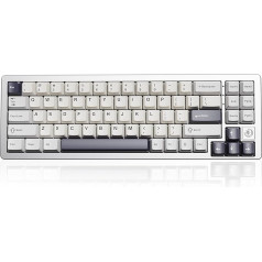 YUNZII AL71 68% mehāniskā tastatūra, pilnībā no alumīnija, CNC, karstā nomaiņas gredzens, 2.4GHz bezvadu BT5.0/USB-C vadu spēļu tastatūra, NKRO RGB, Win/Mac (sudraba krāsā, kristālbalts slēdzis)