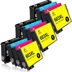 LeciRoba 603xl printer cartridges for Epson printer cartridges 603 and Epson 603xl multipack for Epson XP 3100 XP 3150 XP 2100 XP 2105 XP 4100 XP 4150 Workforce WF 2810 WF2820 WF 2850 WF 2870 (12