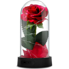 GUCHO Skaistule un zvērs Roze Enchanted Red Silk Rose That Lasts Forever with LED Fairy Lights, Fallen Petals and ABS Base in a Glass Dome