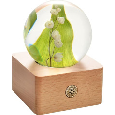 Dr. Pets Miss LI Garden Forever Lily of the Valley Crystal Ball, Wife Girlfriend Women, Anniversary, Mother's Day, Birthday, Valentine's Day Home Decor (12th Lily of the Valley)