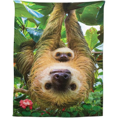 Zomer Cuddly Blanket 150 x 200 cm Patterned Blanket Soft Warm Blanket as Blanket Sleeping Blanket Bedspread or Sofa Blanket with Inertia