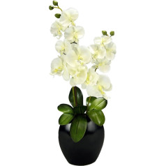 Mākslīgais zieds tauriņš orhideju ar lapām keramikas vāze Mākslīgais zieds Mākslīgā orhideju Phalaenopsis Cymbidium stādītājs Mākslīgais augs Kāzu zīda ziedu ziedu dekoratīvo ziedu ziedu