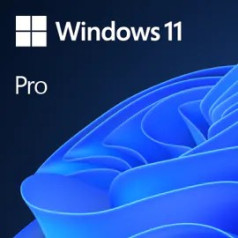 Windows professional 11 64-bit all lang produkta atslēga