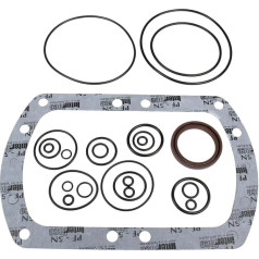 SPINPARTS Dichtungssatz kompatibel mit Bosch Rexroth A8VO107