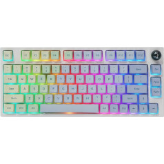 EPOMAKER TH80 Pro mehāniskā spēļu klaviatūra, 2.4GHz/Bluetooth, 75% Hotswap ar RGB PBT taustiņiem WIN/MAC/PS4/PS5/Xbox (Monet, Flamingo Linear)