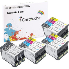 icartouche saderīga tintes kasetne priekš Epson 29XL Expression Home XP-235 XP-245 XP-247 XP-255 XP-257 XP-332 XP-335 XP-342 XP-345 XP-352 XP-355 XP-432 XP-435 XP-442 XP-452 XP-455 (6BK 3C 3C 3C 3C 3C 3Y)