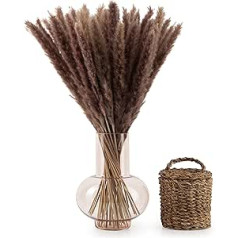 Blumtal Pampas Grass Žāvēti Ziedi – Pampas Grass Pack 100, 58–60 cm, kaltētu ziedu pušķu vai kaltētu ziedu dekorēšanai, Pampas zāles dekorēšanai, Boho stils Pampas Grass Natural Brown krāsā