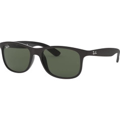 Ray-Ban Andy RB4202 Wayfarer saulesbrilles