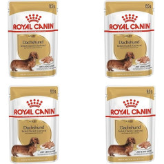 ROYAL CANIN Dachshund Adult Mousse | Iepakojums 4 gab | 4 x 12 x 85 g | Pilnvērtīga barība suņiem | Pieaugušiem takšiem | Var palīdzēt aizsargāt kaulus un locītavas