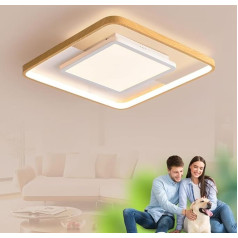 LUCKINHAND Bērnu istabas lampa Kvadrātveida LED griestu gaisma Dimmable ar tālvadības pulti Nakts gaismas funkcija Bērnu istabas guļamistaba Dzīvojamā istaba Priekšnams Zēnu un meiteņu guļamistaba Balta griestu gaisma 40 cm