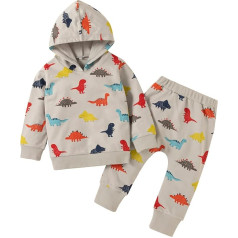 Bērnu meitene apģērbs toddler vasaras rudens zēni dinozauru drukāts garām piedurknēm Hoodie Svīteris topi bikses apģērbu komplekts bērniem gudrs nāk mājās apģērbs A-286