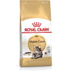 Royal Canin FBN Maine Coon Adult - sausas maistas suaugusioms katėms - 4kg