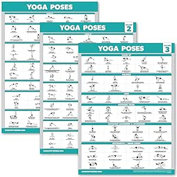 Palace Learning Yoga Pose plakātu komplekts — iesācēju jogas pozīciju diagrammas — 1., 2. un 3. sējums (lamināts, 18 x 24 collas) 3 paka