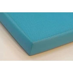 AIREX BALANCE PAD ELITE 50 x 41 cm – zils