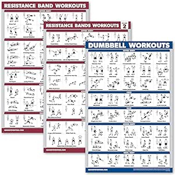 Palace Learning 3 paka pretestības joslu treniņi, 1. un 2. sējums + hanteles vingrinājumu plakātu komplekts — 3 daļiņu treniņu diagrammas