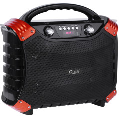 Portable active Quer speaker set with MP3, Bluetooth, FM radio and Karaoke function