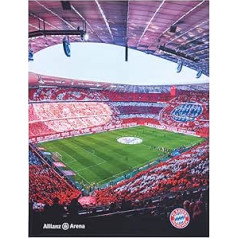 FC BAYERN MUNICH mīksta vilnas sega Allianz Arena -