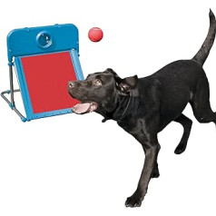 Rosewood Dog Agility Flyball komplekts