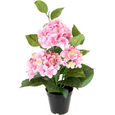 Flair gėlės Dirbtinė hortenzija vazone Dirbtinės gėlės Gėlė Hortenzija Krūmas Dirbtinis augalas Balkono augalas Krūmas Dirbtinis augalas Dirbtinis augalas Dirbtinė gėlė Apdaila Terasos apdaila Vazoninis augalas