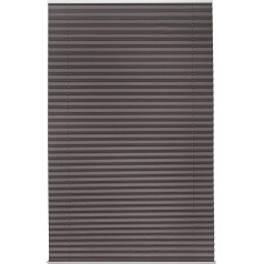 Amazon Basics Pleated Roller Blind, No Pull Chain, No Drilling Required, 80 x 120 cm, Dark Grey