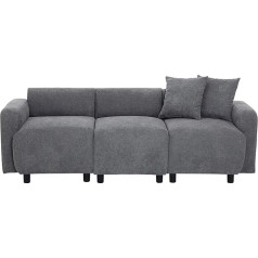 Shosyel 3 vietų sofa, maža sofa su 2 pagalvėlėmis, moderni svečių sofa su porankiu, svetainės sofa (tamsiai pilka)