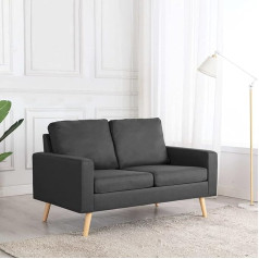 Camerina 2 vietų sofa tamsiai pilka audinio modulinė sofa jaunimo sofa meilės sėdynė dviejų vietų sofa maža 2 vietų sofa