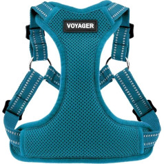 Voyager by Best Pet Supplies Hundegeschirr, verstellbar, Netzstoff, reflektierend, 3M-Paspelierung, Türkis (passender Rand), Größe XS