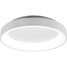 Trio Leuchten Girona 671290131 LED griestu gaisma Metāla matēts balts akrils Komplektā ietilpst 48 W LED, dimmeris, atmiņas funkcija, nakts gaisma, tālvadības pults