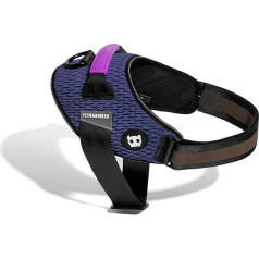 Wicked FlyHarness with Reflectors, Size 5, Purple/ Green