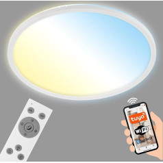 BRILONER - LED griestu lampa Flat Smart Home, darbojas ar Alexa, tālvadības pults, LED lampa, LED griestu lampa, dzīvojamās istabas lampa, LED panelis, guļamistabas lampa, gaiteņa lampa, 42 x 2,5 cm, balta