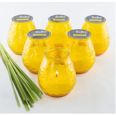 HOFER 6 x Bistro Light Citronella Yellow | Āra laterna | Augstas kvalitātes citronella svece stiklā ar citronellas aromātu | Āra sveces dārza ballītei | Dekorācijas lietošanai ārpus telpām