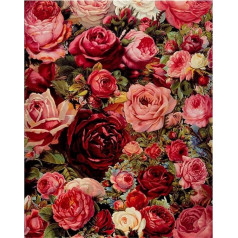 Meecaa Paint by Numbers Rose Flower Romantic Kit pieaugušajiem iesācējiem DIY Oil Painting 16 x 20 collas (Rose, ierāmēts)