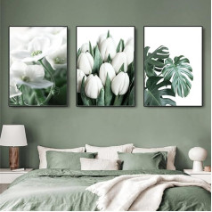 Trayosin 3 gabali plakātu komplekts, Modern Aesthetic Green Plant Flower Pictures Canvas Painting Wall Art, Sienas apdare Picture Dzīvojamā istaba un guļamistaba, Modern Wall Pictures, bez rāmja (50 x 70)