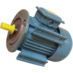 Hidraulisko sūkņu motors, 0,75 kW-7,5 kW Hydraulikölpumpen-Außenwellenmotor, Hydraulikpumpenmotor YIJIAN (Farbe : 0.75KW)