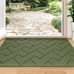 Biscpro Indoor Outdoor Doormat 80 x 100 cm, Dirt Trapper Mat, Non-Slip Door Mat, Indoor Washable Entrance Rug Indoor Door Mats Front Door Thin Indoor for Entrance, Hallway, Garden, Indoor, Pet, Green