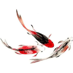 Wee Blue Coo japāņu Koi Fish Black and Red Unframed Art Print Plakāts sienas dekori 12 x 16 collu japāņu zivis sienas apdare