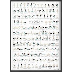 Follygraph Joga plakāts - Jogas attēls - 150 asanas