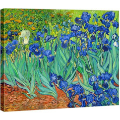 Wieco Art Irises Liela moderna galerija ietin ziedu gicelee audekls drukāt Van Goga slavenā zilas puķes eļļas glezna reprodukcijas mākslas darbu bildes uz audekla sienas māksla guļamistabai